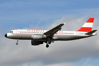 Photo of OE-LBP